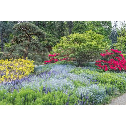 Tilley, Rob 아티스트의 Washington State-Seattle Kubota Garden작품입니다.